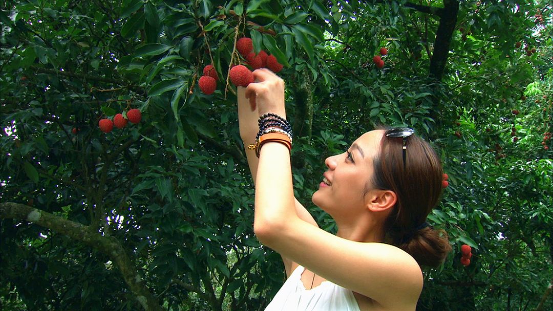 茂名滨海旅游线路_茂名澳内海海鲜几点有_茂名文化体验旅游攻略