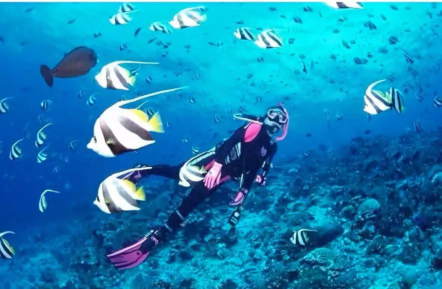 网络中国节•端午 | 浪浪浪浪浪~茂名这片海快来约(图8) 茂名海边度假_中国第一滩旅游攻略_茂名澳内海海鲜几点有