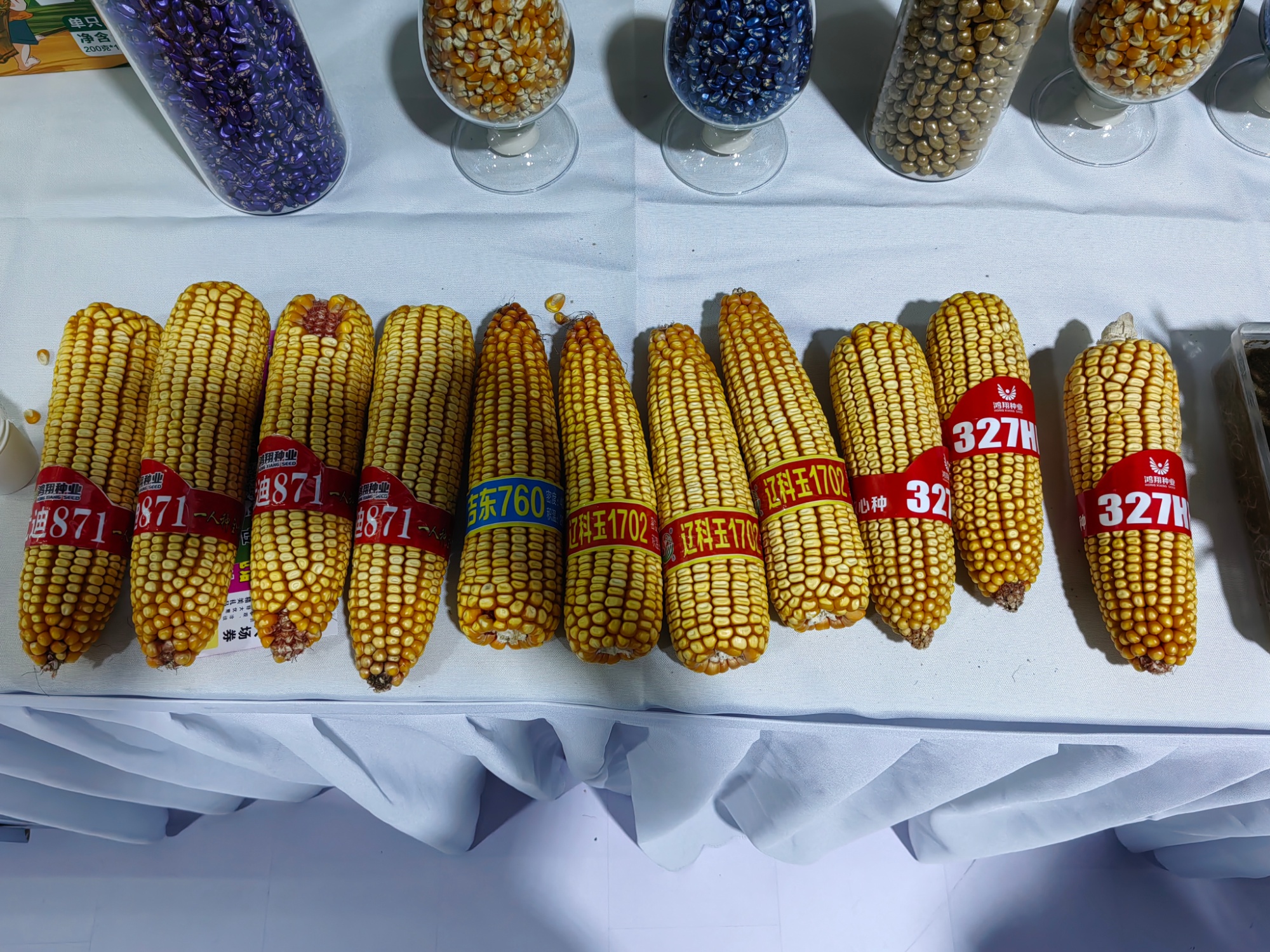 激光育种、智慧系统……长春农博会公主岭展区藏着多少“农业黑科技”?(图2) 农业科技创新成果推广_长春国际农业食品博览会_吉林长春国家农高区科技成果展