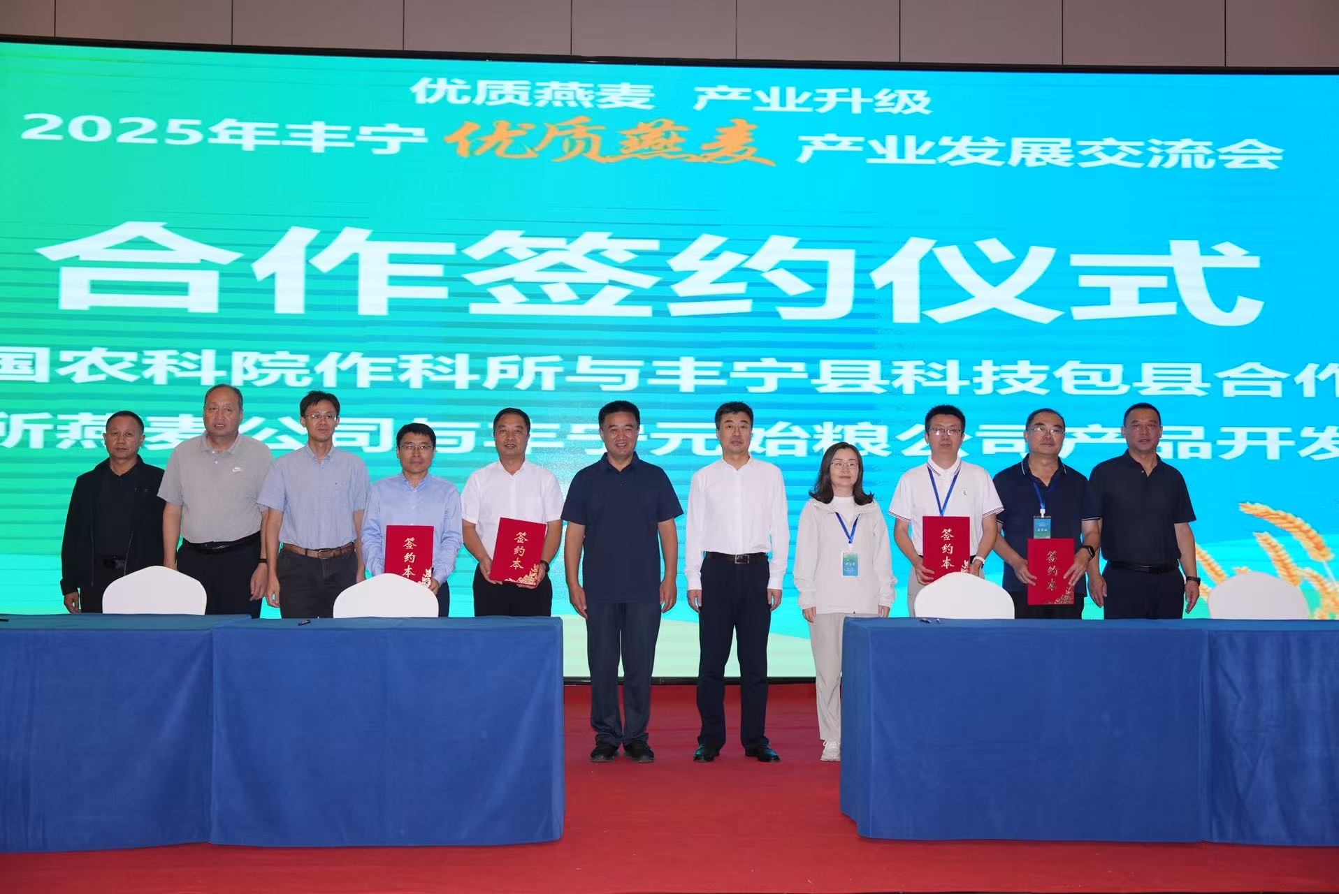 中国农科院作科所与河北省丰宁县深化燕麦产业科技合作(图1) 河北省丰宁县_中国农业科学院作物科学研究所_农业科技创新成果推广
