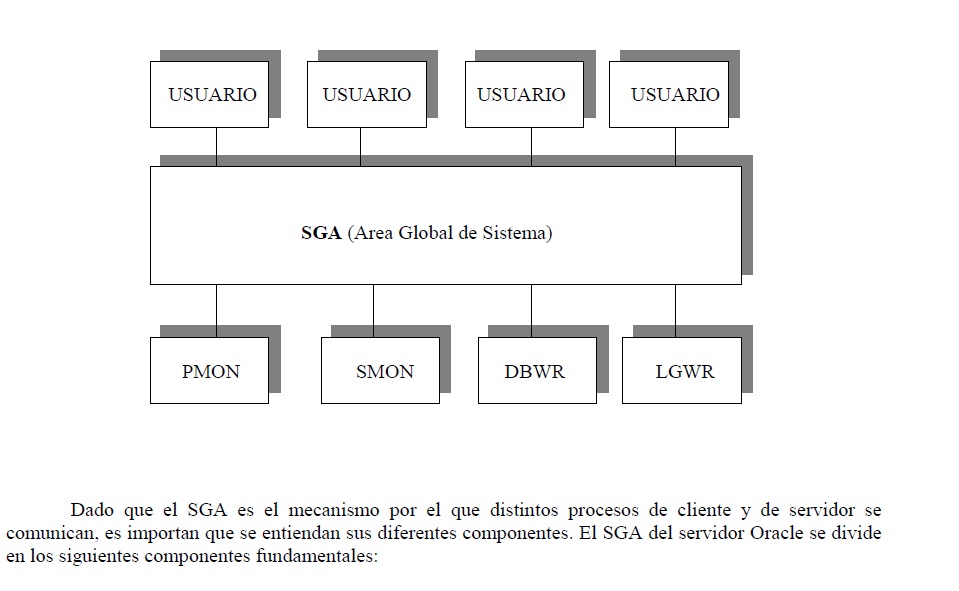 技术专有名词：ORACLE 10g