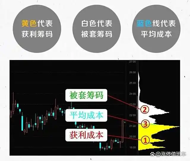 筹码分布图形解析_筹码成本分布如何设置_主力筹码特征