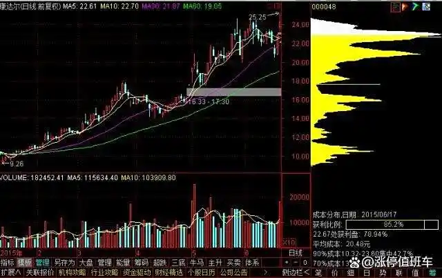 筹码分布图形解析_筹码成本分布如何设置_主力筹码特征