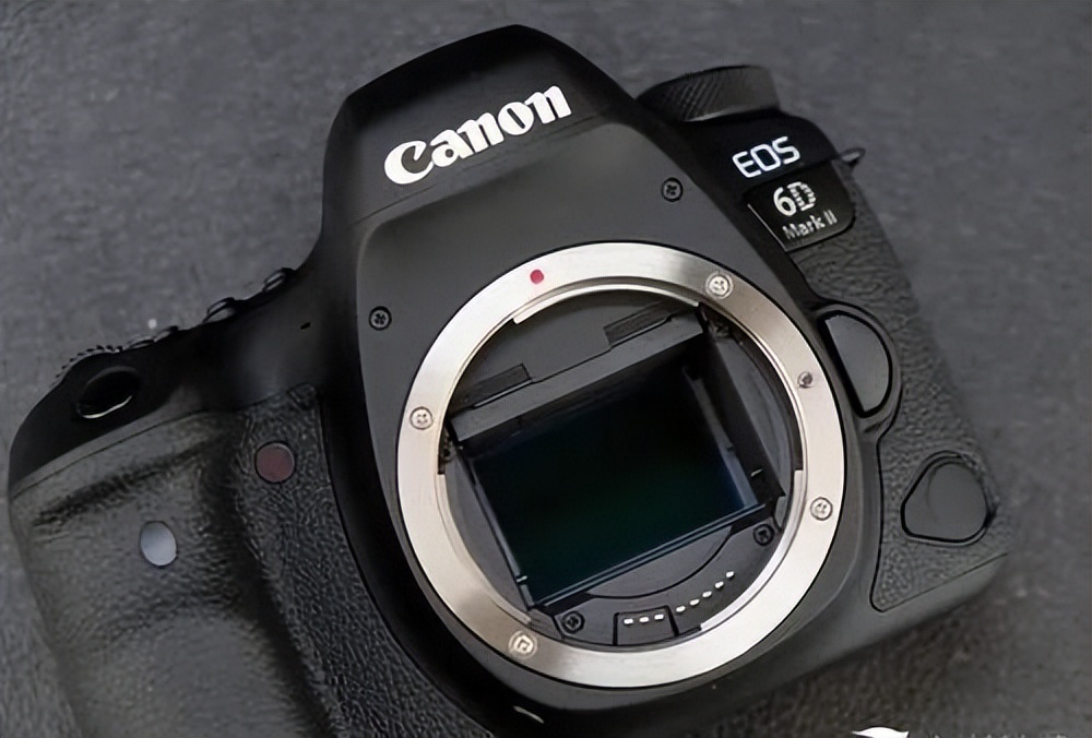 目前最热门的十款相机,现在值得买吗?(图5) 中国品牌数码相机_相机推荐 索尼A7M3 佳能R5