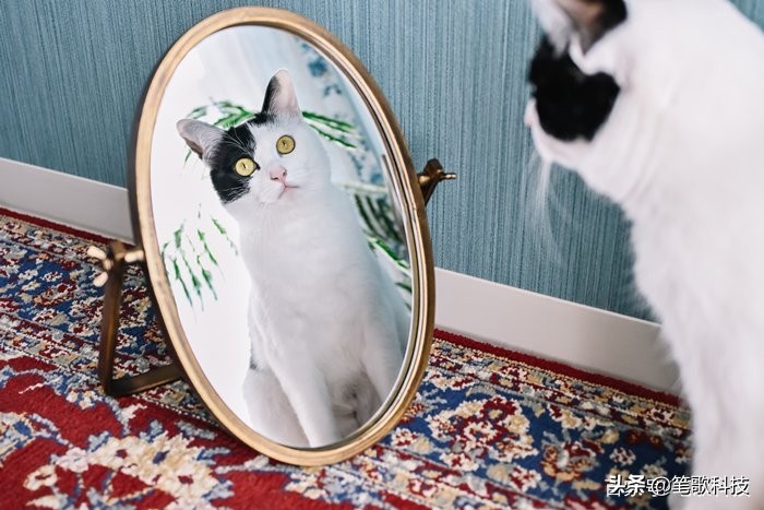 尼康Zfc微单数码相机,现代科技融合古典美学,专业影像一触即达(图14) 中国品牌数码相机_尼康Zfc微单数码相机配件厂商投怀送抱_尼康Zfc微单数码相机复古经典设计工艺