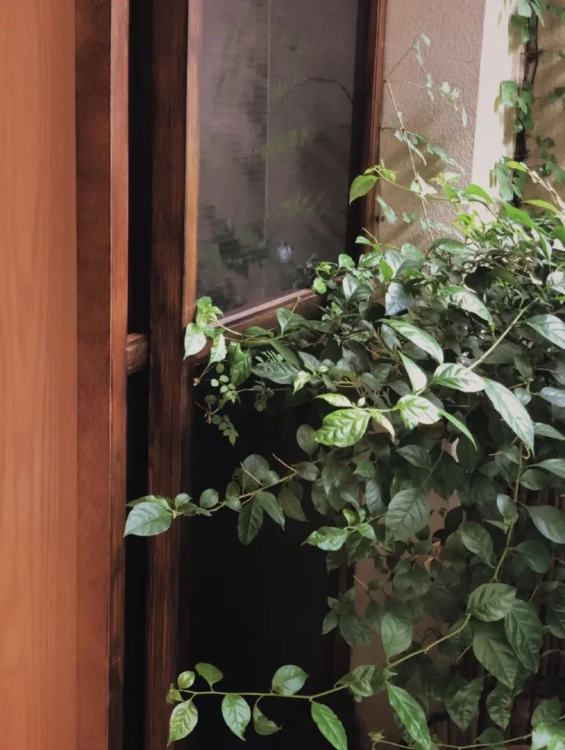 开间茶馆装修图片_中式复古茶馆推荐_上海老洋房茶社