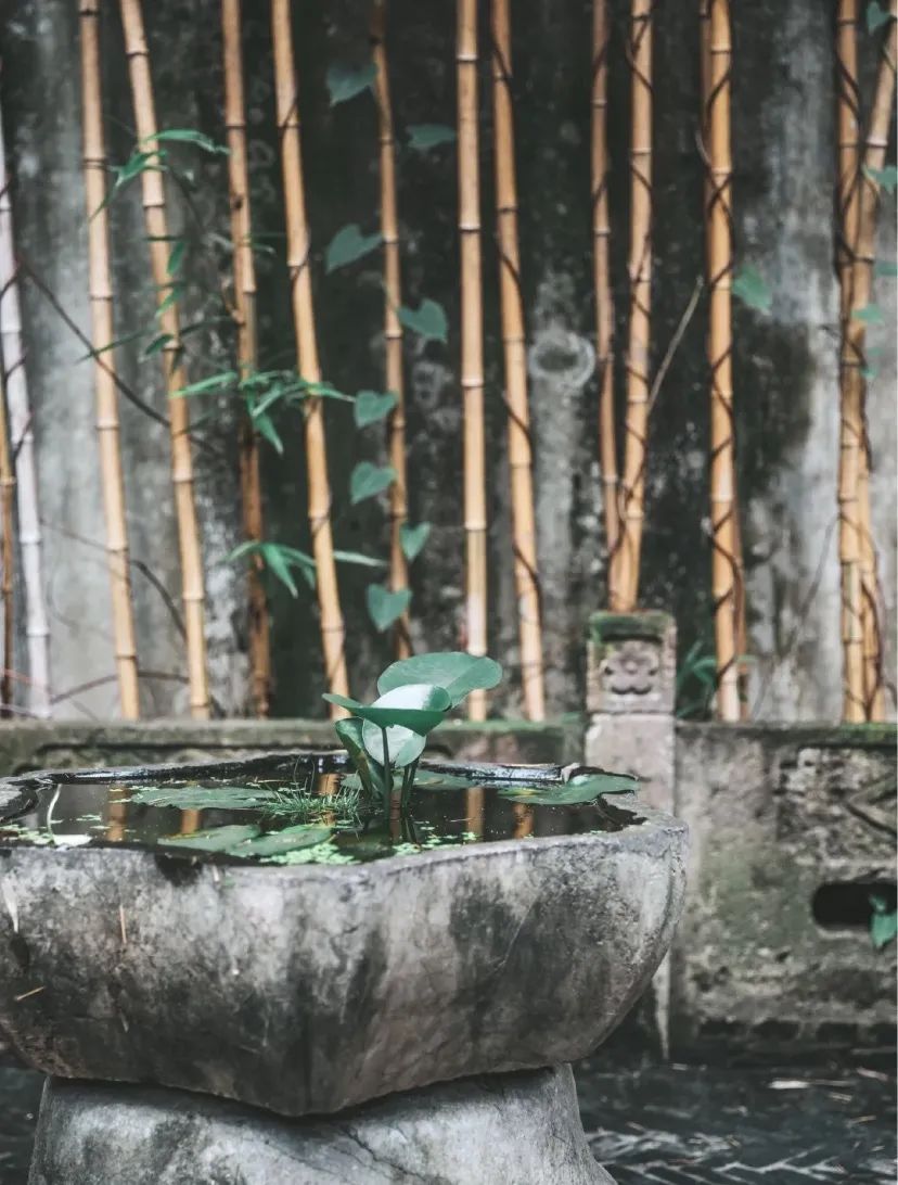 中式复古茶馆推荐_上海老洋房茶社_开间茶馆装修图片