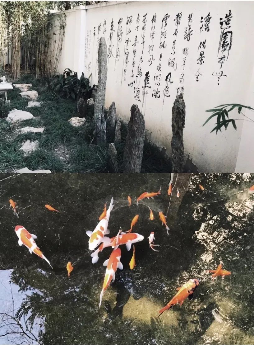 中式复古茶馆推荐_上海老洋房茶社_开间茶馆装修图片