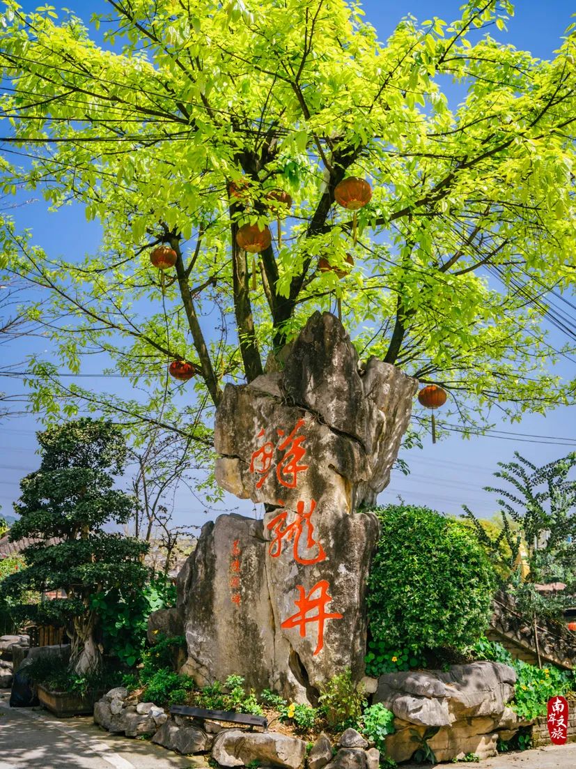 绿色阳台后院园林火锅_鲜龙井火锅公园_鲜龙井火锅底料制作技艺