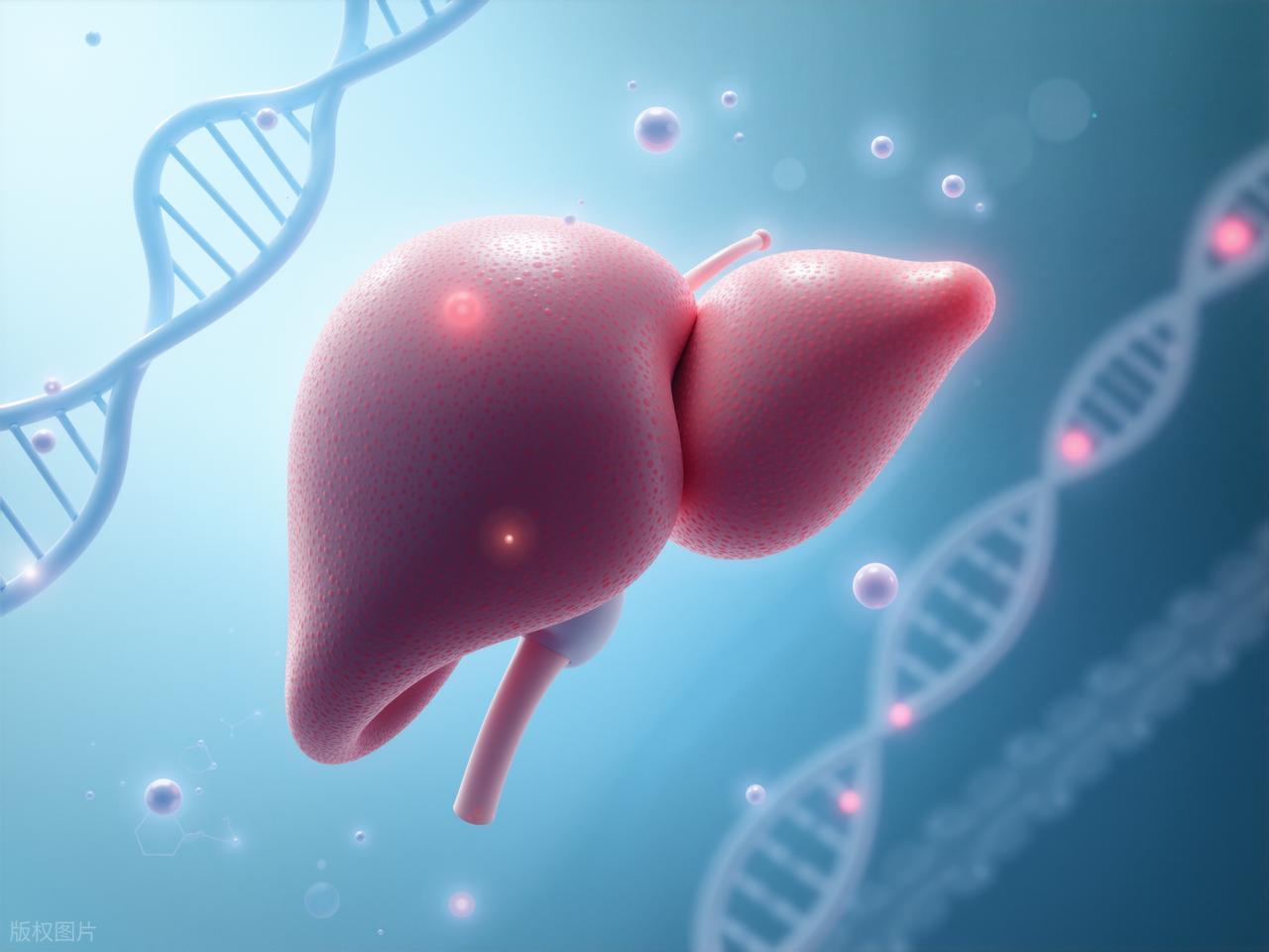 高温已至!中科院提醒:爱喝白酒的人,喝白酒尽量做到4不要(图6) 白酒与心血管系统影响_吃烧烤喝白酒好不好_高温饮酒风险