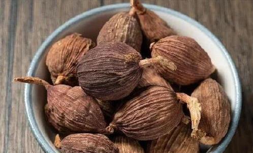 猪肉炖不烂愁坏人?五种香料一加,连老人小孩都抢着吃(图4) 炖猪肉香料配方_名菜家做猪肉_草蔻山楂草果木香栀子搭配