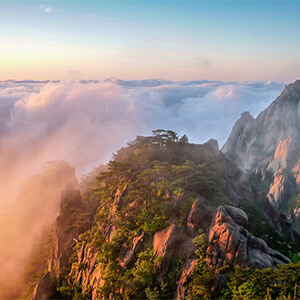 奶粉有质量问题怎么赔偿(图22) 奶粉质量问题赔偿标准_奶粉质量问题怎么处理_二手房质量纠纷处理办法