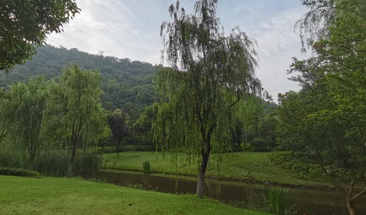 华南农业大学专业学费_广东中外合作办学学费_广东民办本科学费