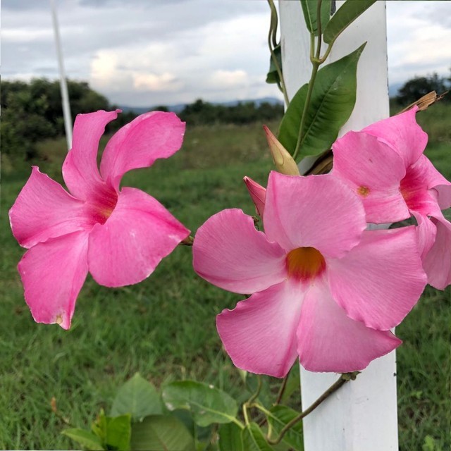 手机都千万像素了 拍照还需要用相机吗(图9) 数码相机和微单的区别_手机摄影与相机对比_相机在手机时代的作用