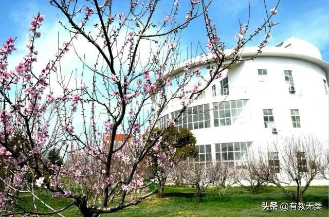 河南高校——周口职业技术学院(图2) 河南省重点高职院校_周口科技学院真垃圾啊_周口职业技术学院