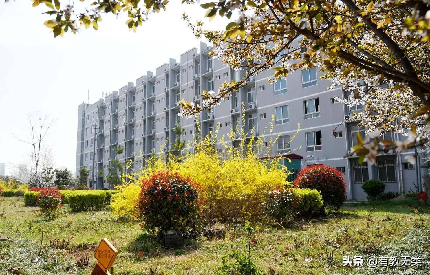 河南高校——周口职业技术学院(图4) 周口科技学院真垃圾啊_河南省重点高职院校_周口职业技术学院