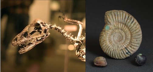 中国数字科技馆(图36) 3D打印应用领域_3D打印技术原理_3d打印fdm技术