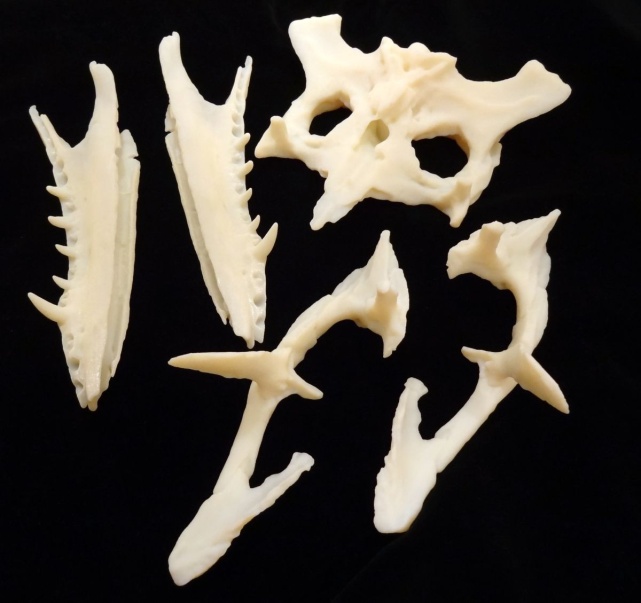 中国数字科技馆(图37) 3D打印技术原理_3D打印应用领域_3d打印fdm技术