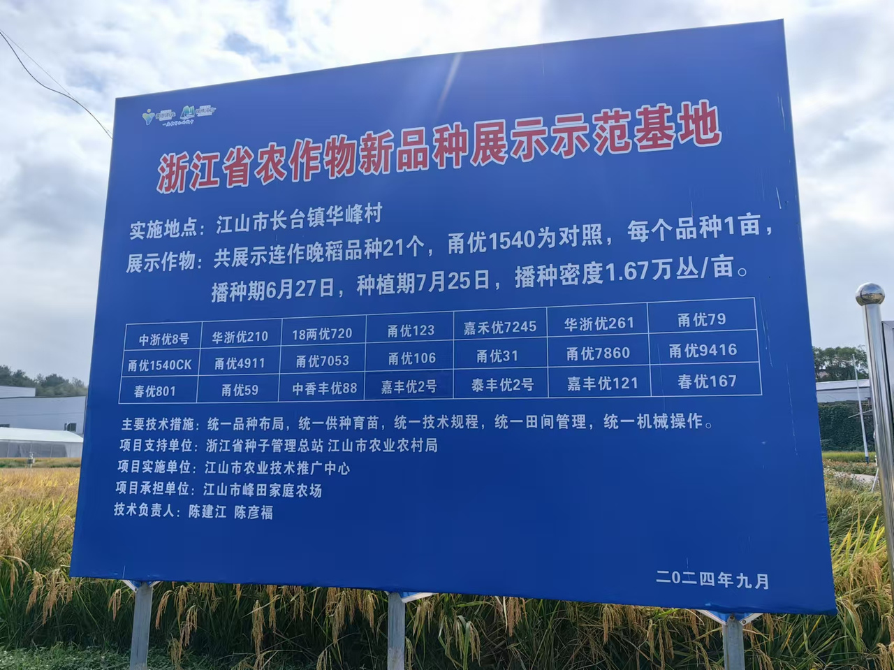 江山双季稻亩产突破_浙江省水稻高产纪录_水稻亩产收益
