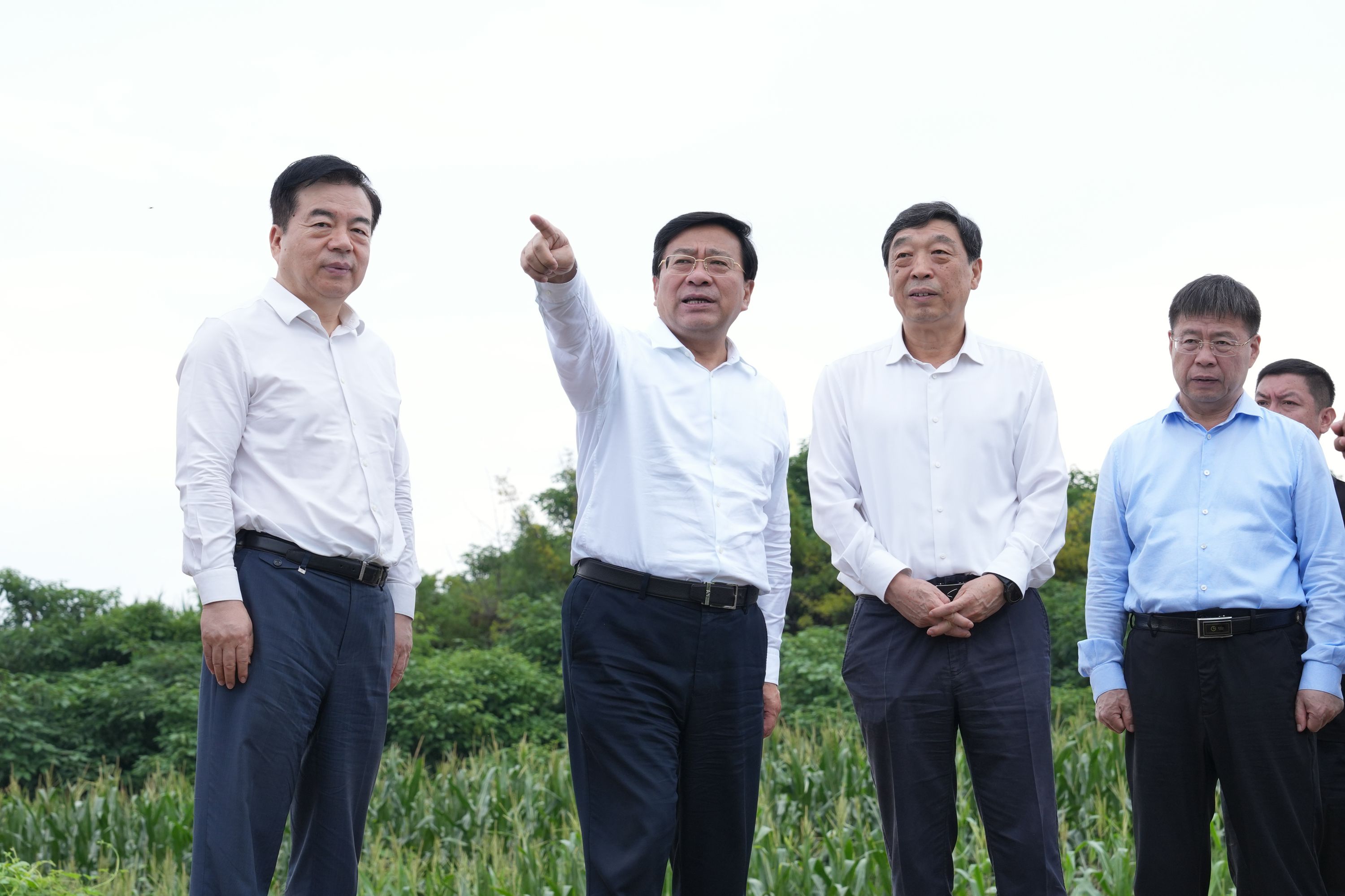 韩俊在河北调研时强调 全力以赴夺取秋粮丰收 大力推动智慧农业发展(图1) 农业防灾减灾救灾_河北农业网站_智慧农业发展