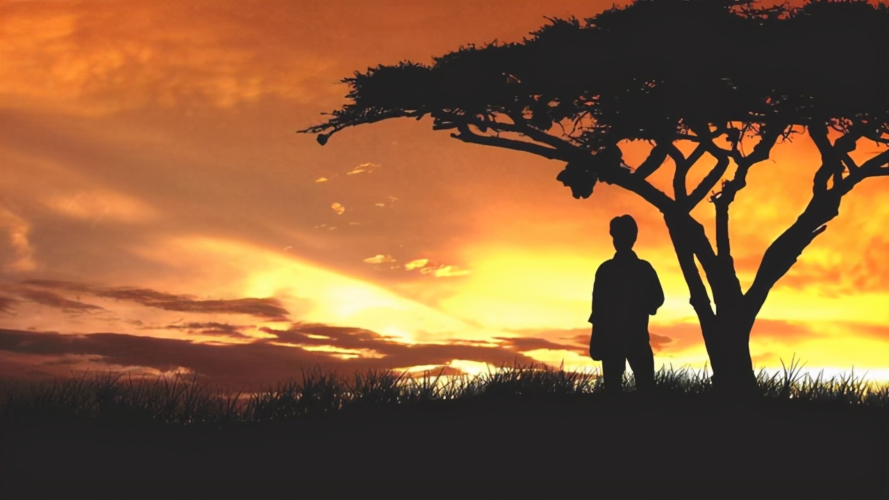 从《韩非子》的3句话分析,“能发财”的人,掌握了哪些规律(图4) 及时止损定律_选择定律_经济学小知识定律