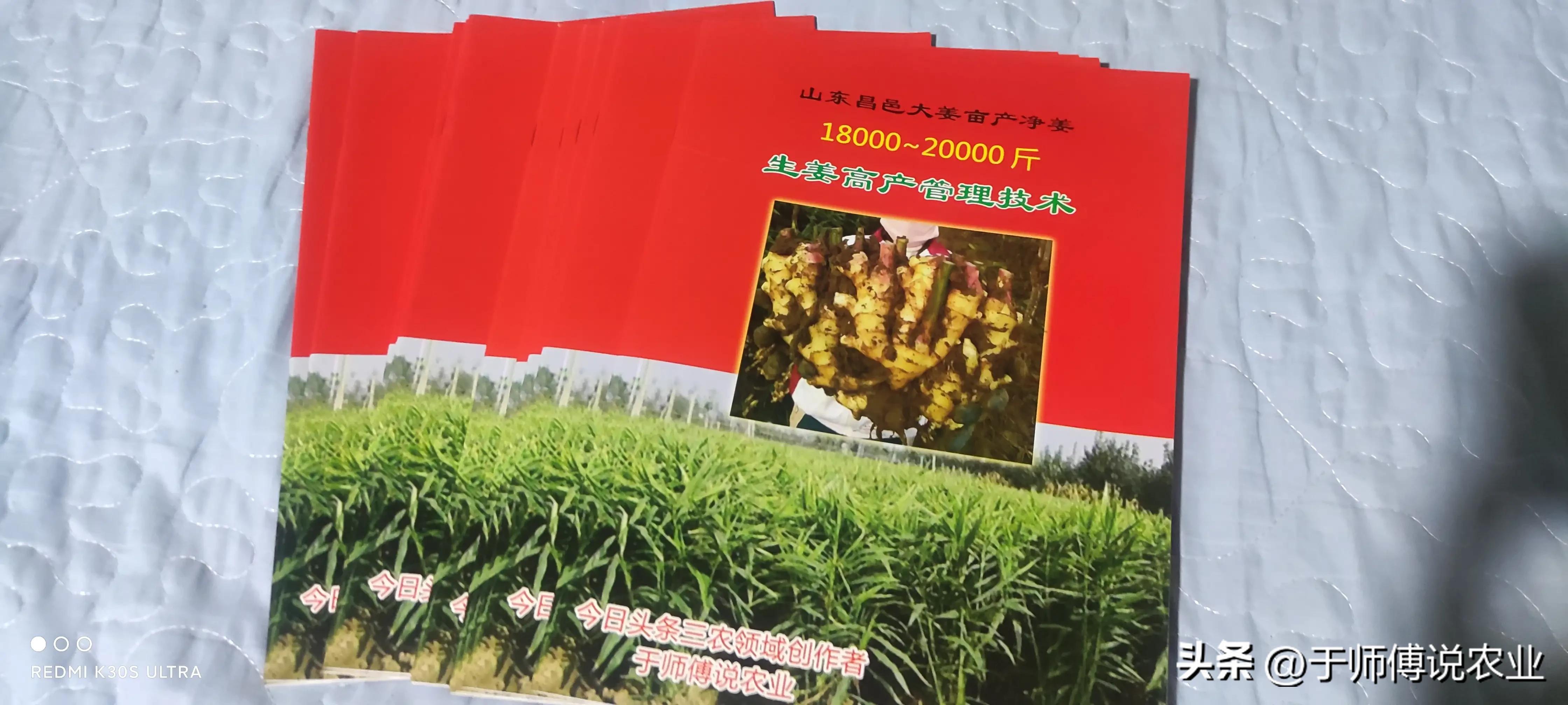 疫情对大姜市场的影响_大姜价格暴涨原因_大蒜价格上涨原因