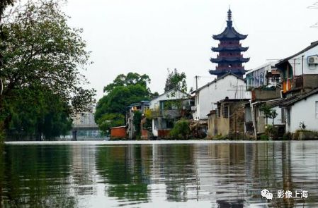 上海的古镇名小吃(图48) 上海古镇名小吃_周末去上海古镇玩_用英语说上海名吃