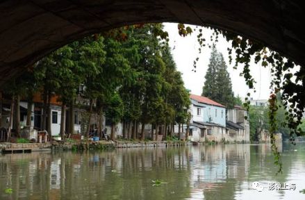 上海的古镇名小吃(图49) 用英语说上海名吃_上海古镇名小吃_周末去上海古镇玩