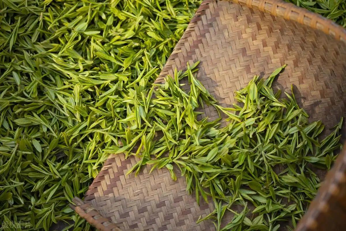 30个茶叶冷知识,每一条都能颠覆你的认知(图3) 有关茶叶知识_中国茶文化_:茶叶冷知识