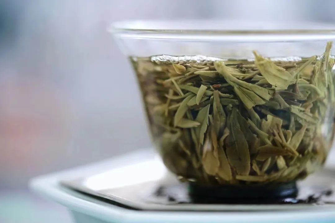 必收藏!茶叶灵魂的起点,茶人必知的茶树知识(图2) 茶类与茶树关系_有关茶叶知识_茶树基础知识