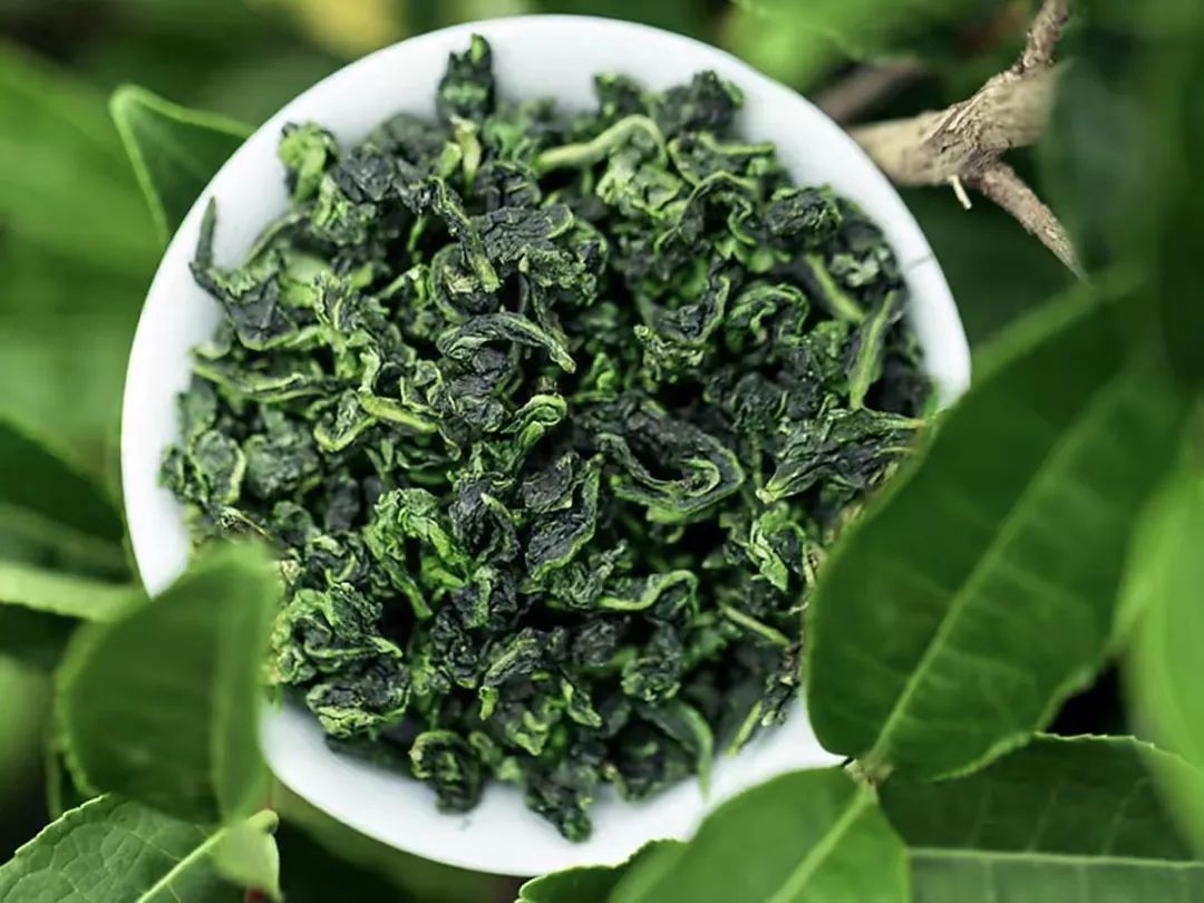 【进出口食品安全】5·21国际茶日|海关带你读懂世界名茶及茶叶进出口知识(图3) 有关茶叶知识_中国名茶介绍_茶叶进出口流程详解