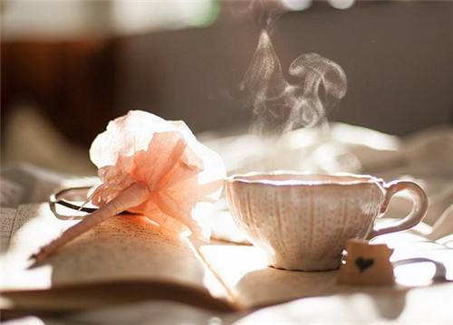 喝茶养生,知道这些茶叶知识,你就是资深茶友了!(图1) 有关茶叶知识_喝茶养生功效配方_西洋参红枣茶月季花桂圆茶