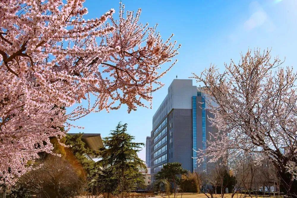 华北科技学院招生计划_燕郊华北科技学院学费_华北科技学院专业设置