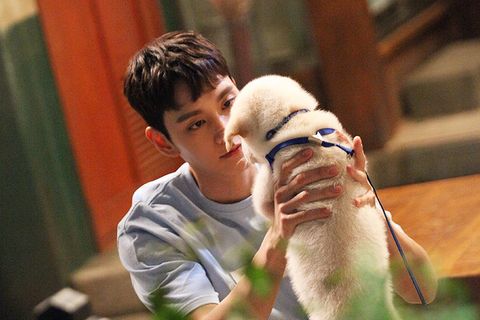 让朴信惠点头的崔泰俊是谁?认识朴信惠丈夫崔泰俊必知5个私人情报(图10) 朴信惠崔泰俊恋情公开时间_朴信惠崔泰俊婚礼日期_朴信惠龙俊亨怎么认识