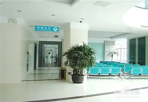 身体全身都长湿疹怎么办