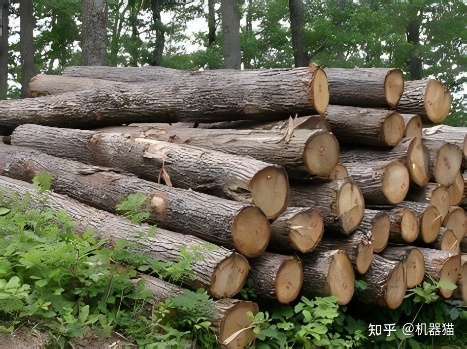 实木家具品牌推荐_实木家具选购指南_家具 标准