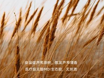 环保板材怎么挑？来看看这份装修指南避雷