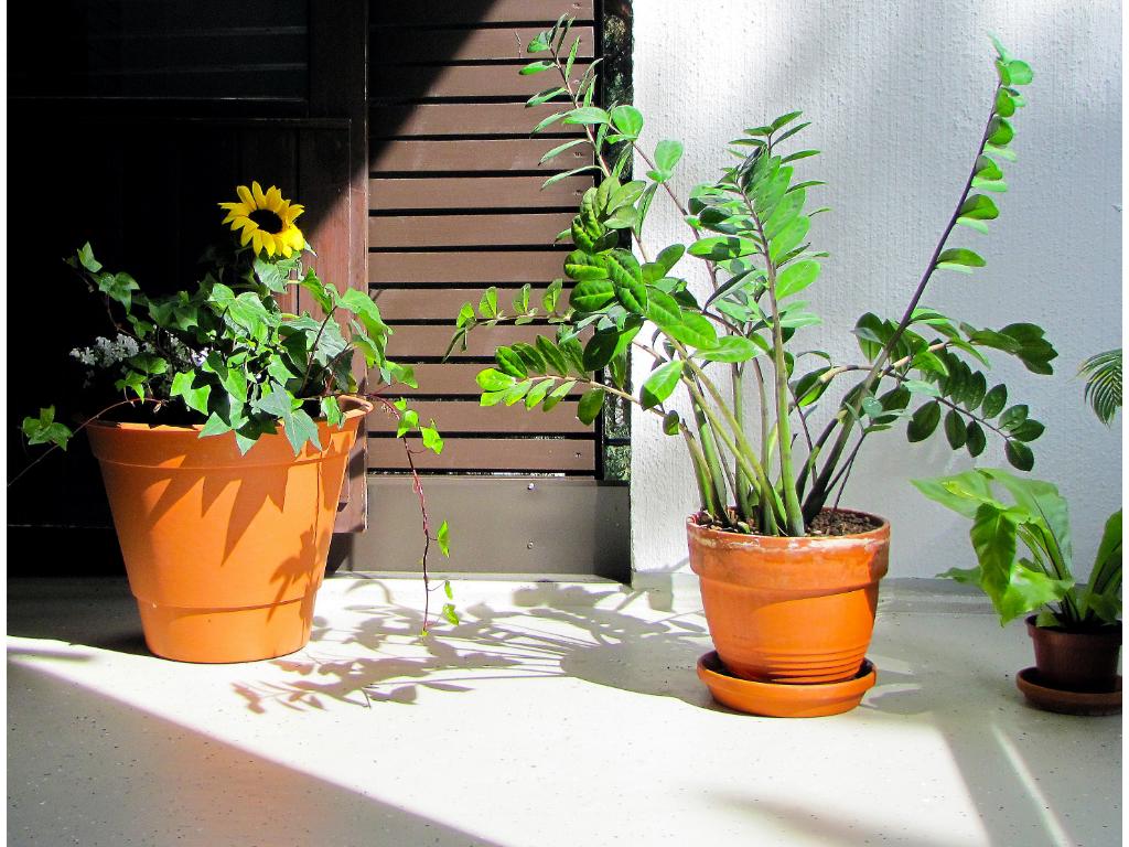 卫生间阳台美缝必要性_卫生间瓷砖用美缝吗_聚脲美缝耐黄变原理