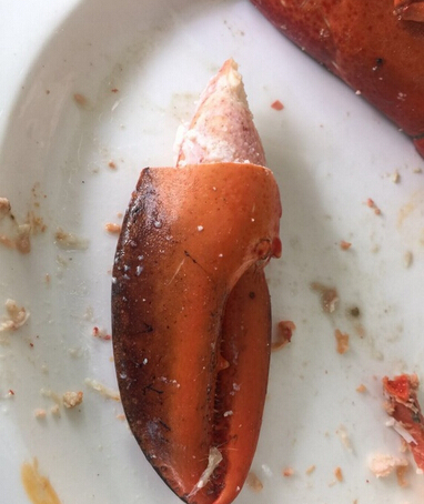 又到一年蟹肥时(图2) 北京海鲜自助餐厅_上海什么海鲜自助火锅好_北京大闸蟹推荐