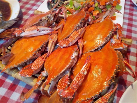 又到一年蟹肥时(图7) 北京大闸蟹推荐_北京海鲜自助餐厅_上海什么海鲜自助火锅好