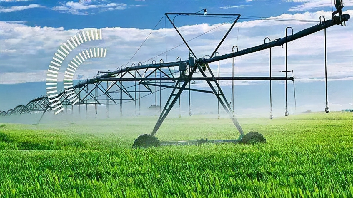 农业社会化服务_小农户与现代农业有机衔接_社会主义初级阶段农业