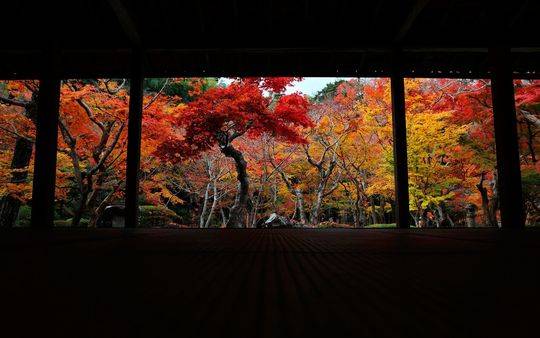 小众人少风景好,夏季境外绝美旅游地推荐(图8) 法国普罗旺斯旅游价钱_小众暑假旅游地推荐_绝美新旅游地暑假攻略