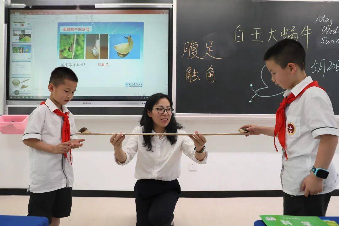 宁波华茂外国语学校招生简章_宁波兴宁中学学费_宁波至诚学校初中部招生