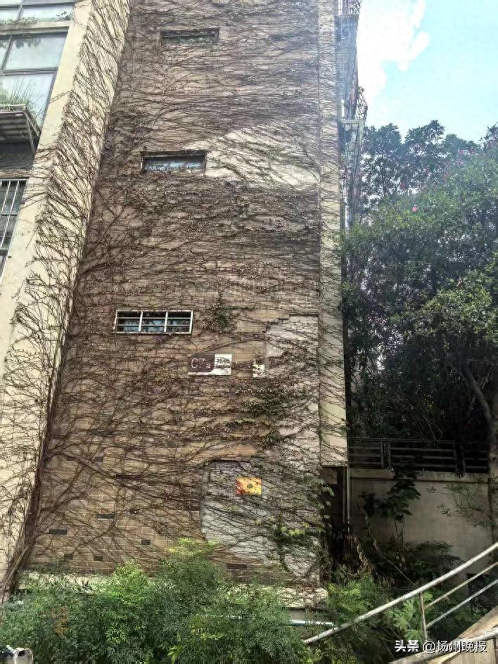 扬州申请住宅应急维修资金指南出台(图1) 扬州市住宅专项维修资金使用指南_应急维修资金申请条件_维修资金申请