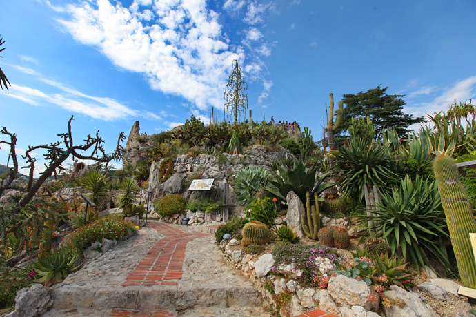 深度游玩普罗旺斯,怎么少得了法国定制旅游?(图7) 法国定制旅游体验_普罗旺斯深度游_法国普罗旺斯旅游价钱