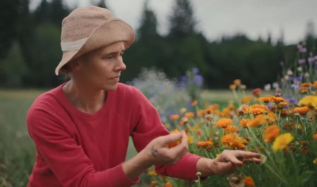 10部2022年爆款美食剧,十一假期必看(图5) 2022年热门美食纪录片推荐_下饭美食剧排行_高评分美食电影排行榜