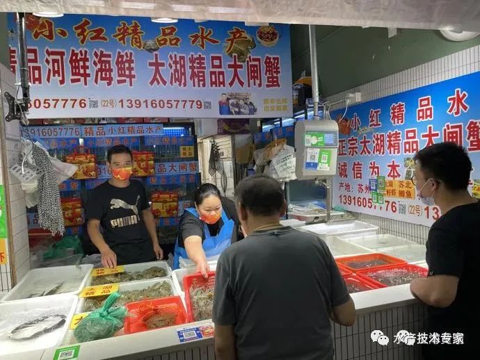 大闸蟹“横行”上市,每只售价25-100元!“阳澄湖”蟹还要等,价格美丽!(图2) 大闸蟹信誉牌 京深海鲜批发市场 太湖东山大闸蟹_京深海鲜批发市场地址