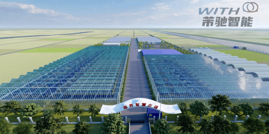 上海鱼菜共生系统设计 上海芾驰智能科技供应(图2) 上海鱼菜共生系统设计,鱼菜共生