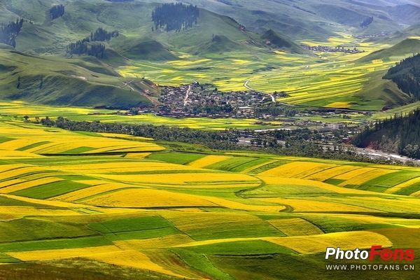 佳能5d3边缘对焦_眼控对焦技术 历史意义_佳能EOS 5系列 发展历程