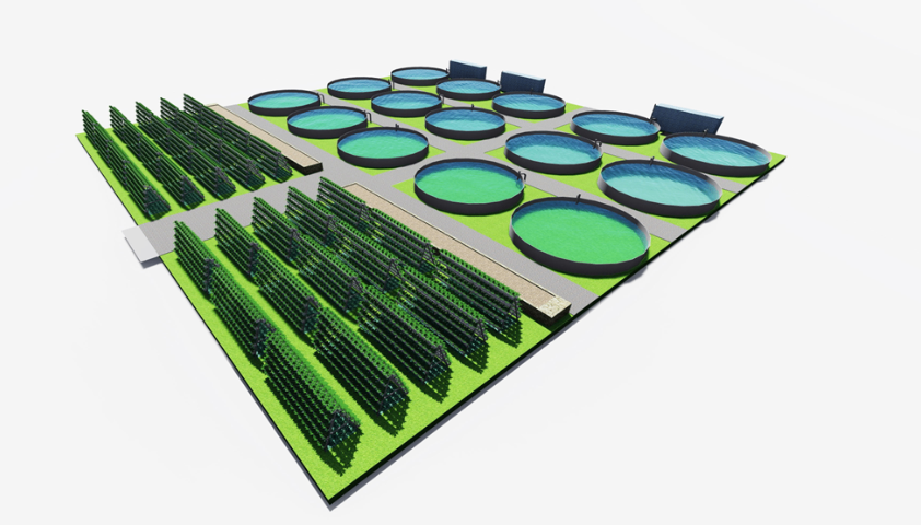 上海智能鱼菜共生系统设计 上海芾驰智能科技供应(图3) 上海智能鱼菜共生系统设计,鱼菜共生